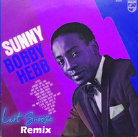 Bobby Hebb - Sunny Remix
