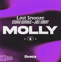 Joel Corry - Molly Remix